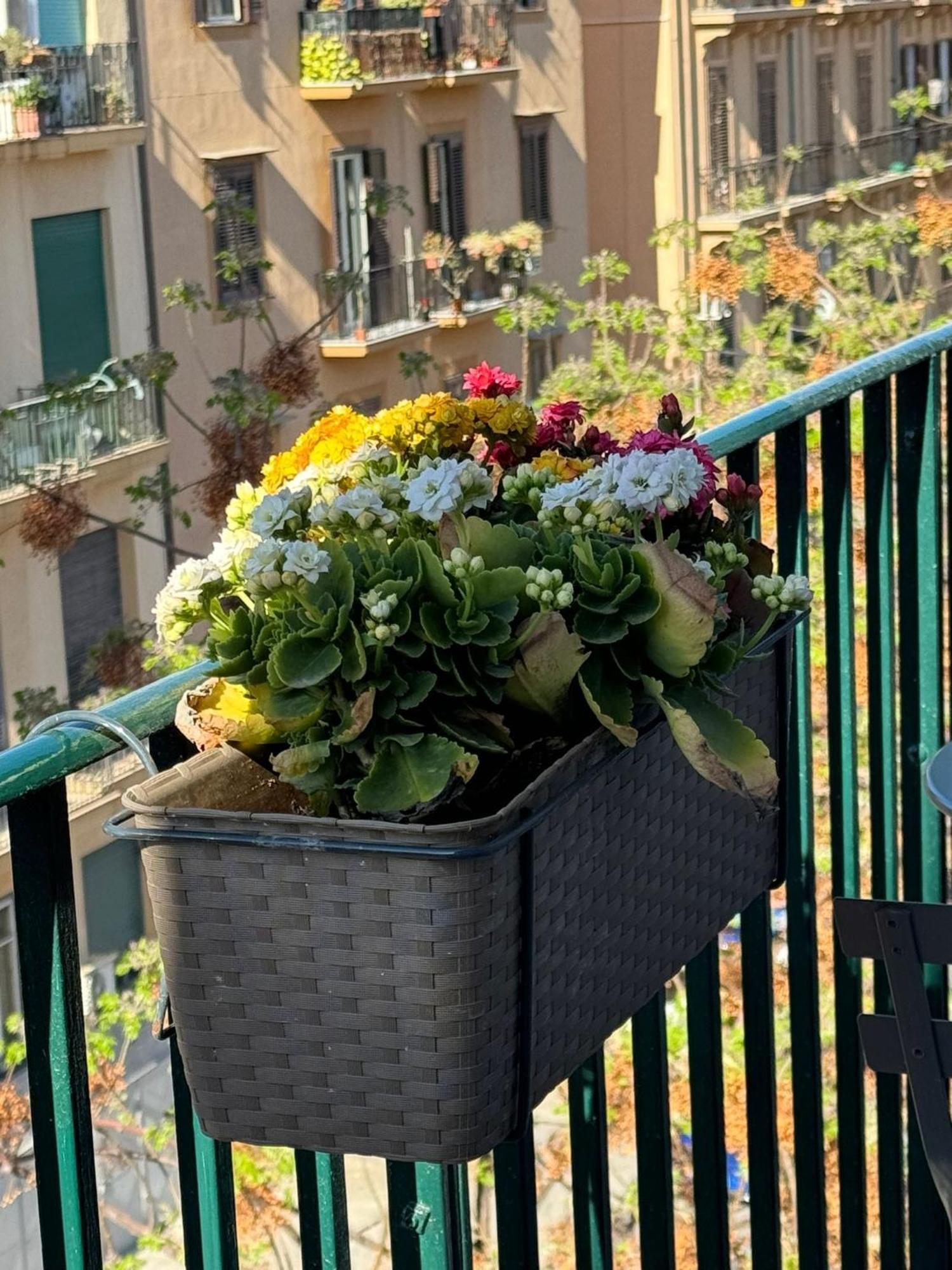 Di Fresco Apartments - Holiday House Palermo Exterior foto